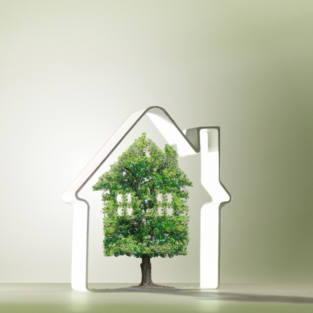 Représentation d'une cabane dans les arbres.