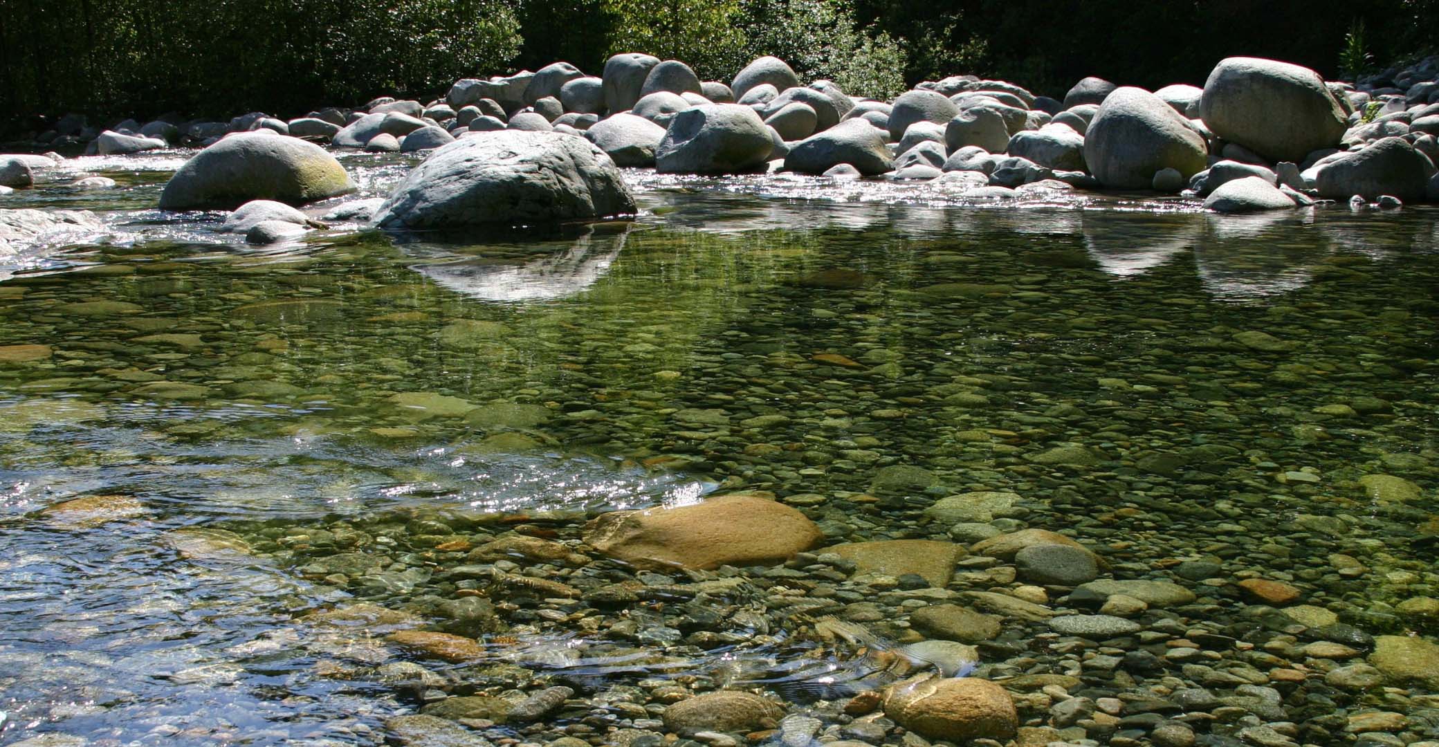 Fraîcheur de la rivière dans les Gorges du Toulourenc.