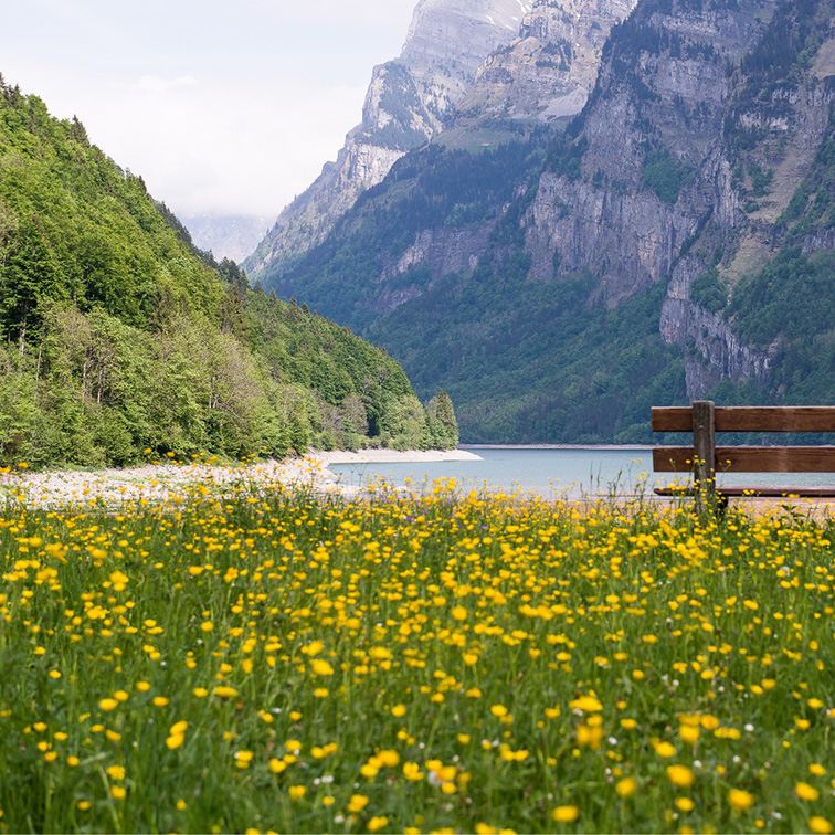 canva-suisse-immobilier-luxe-investir-janssens (1)