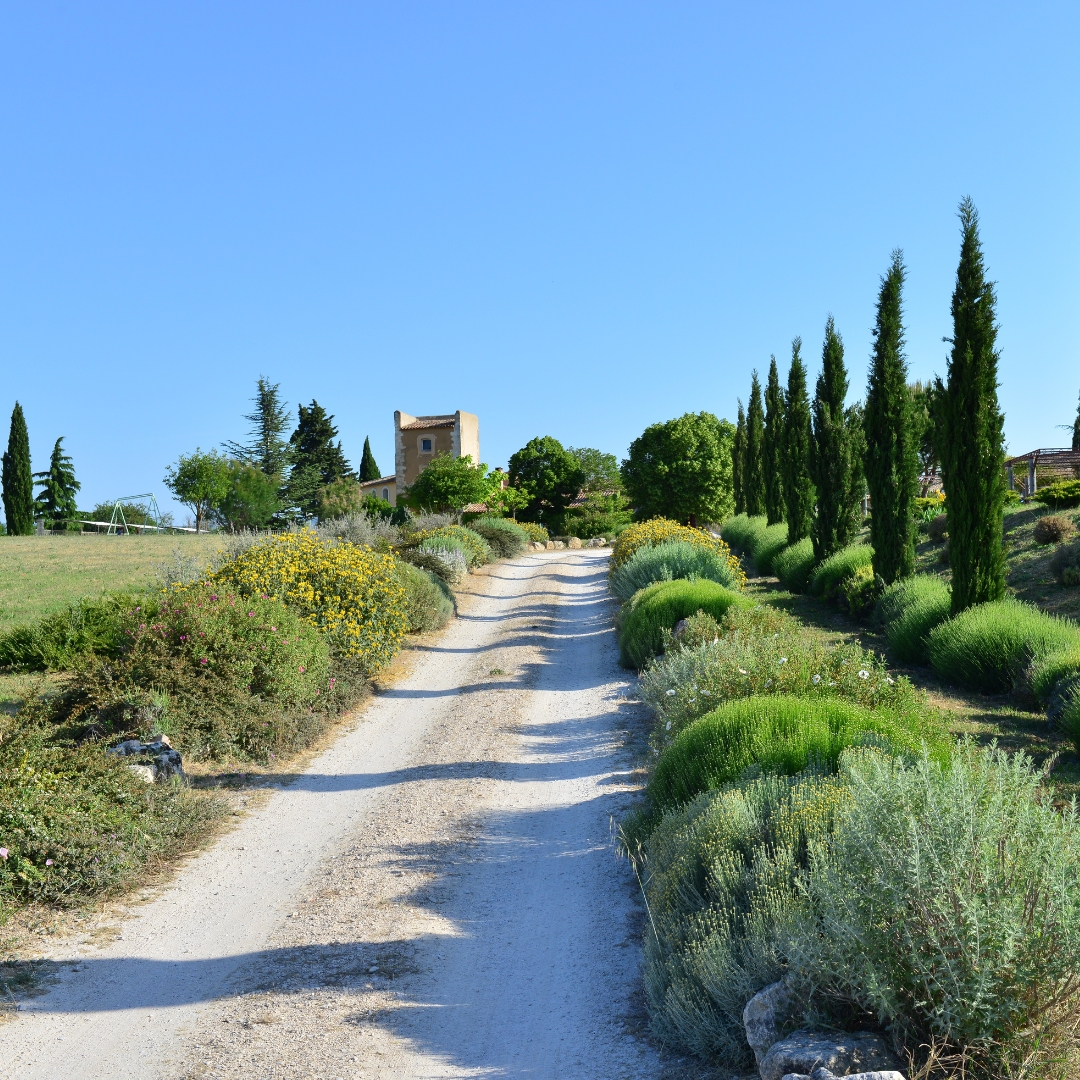 Paysage au détour d'un chemin.