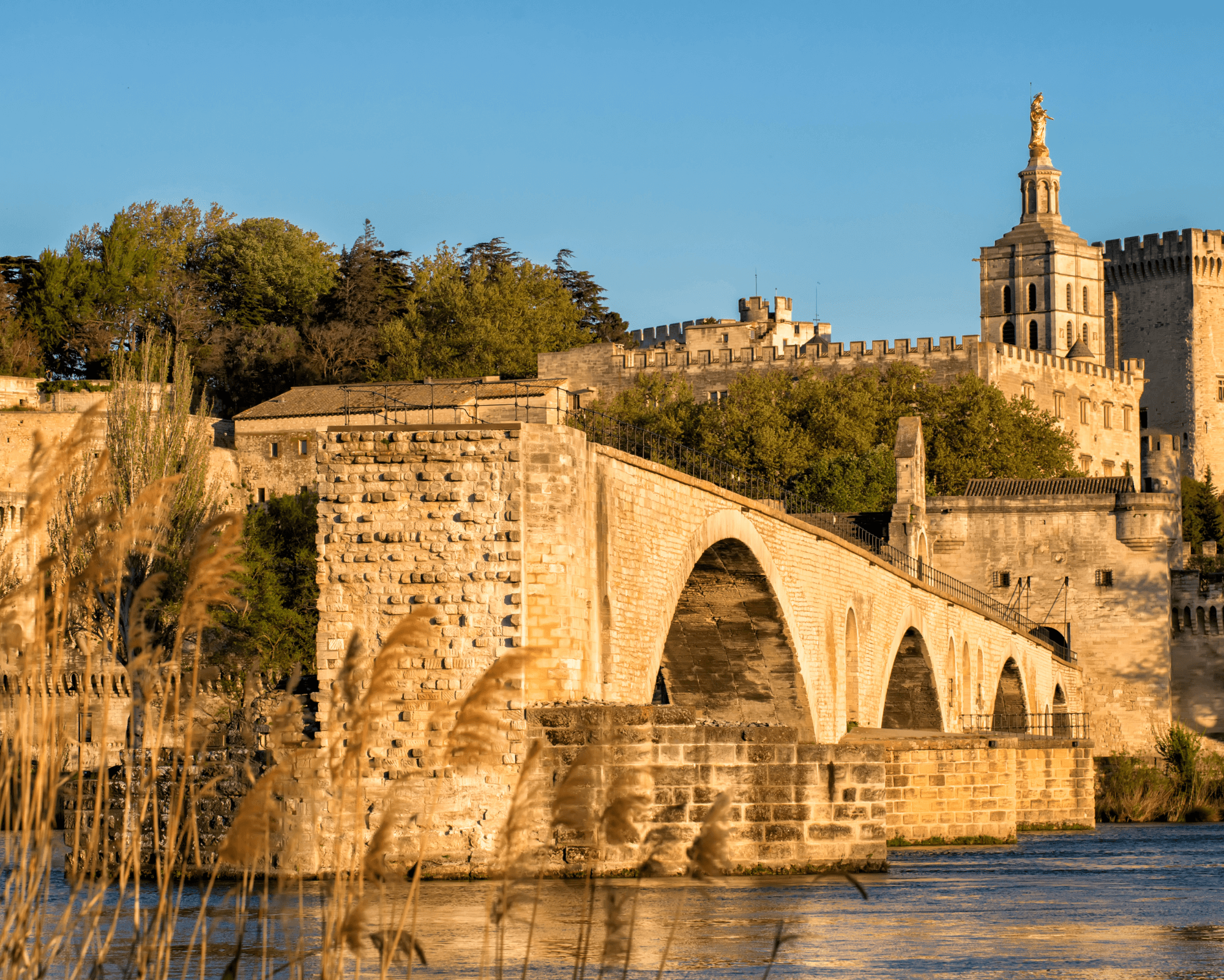 Avignon