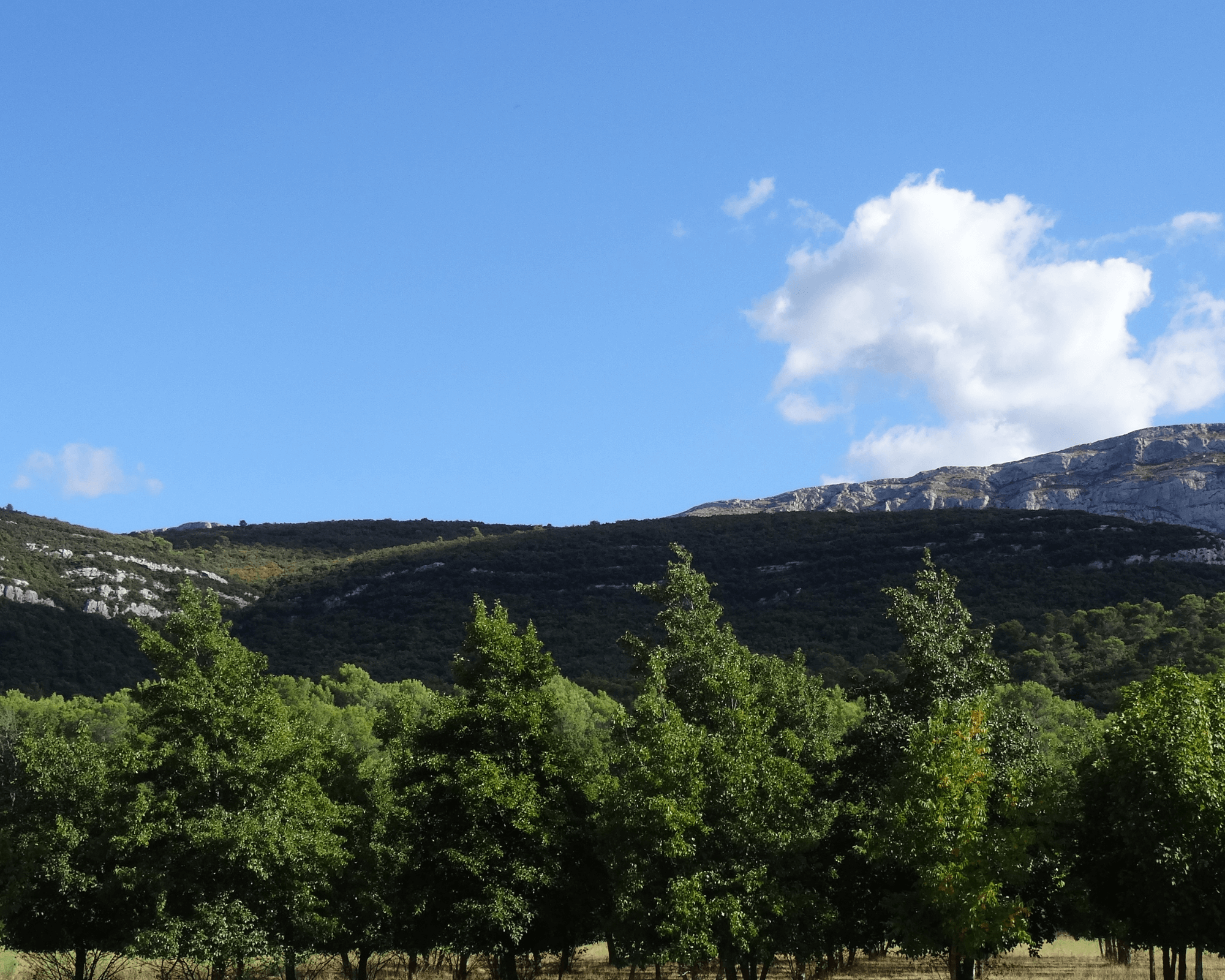 Automne - provence automne