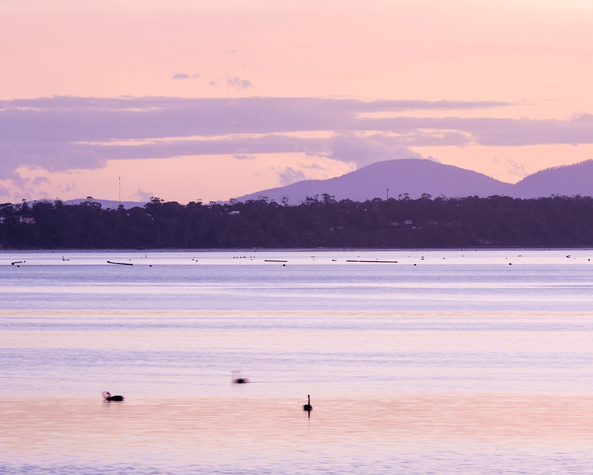 Ciel rose de Camargue photo