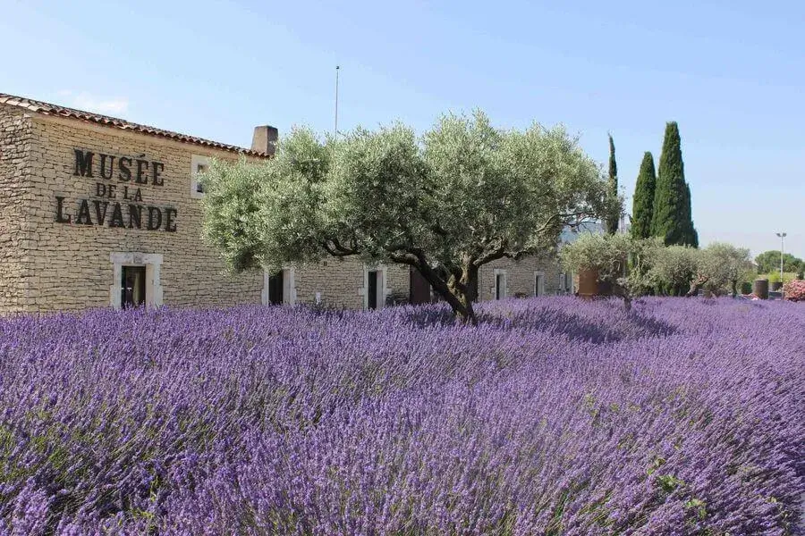 Musée dans le Luberon