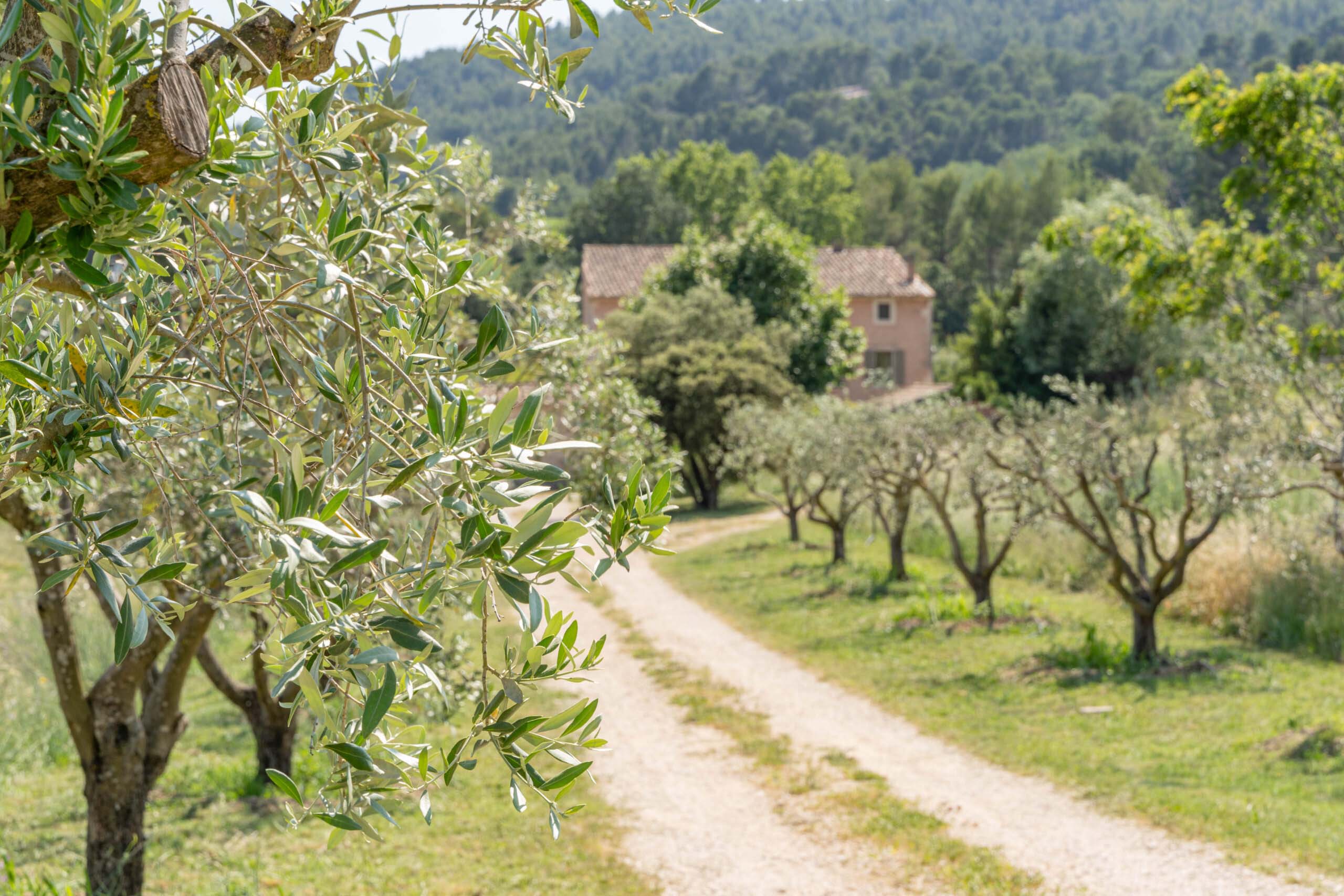 provence été