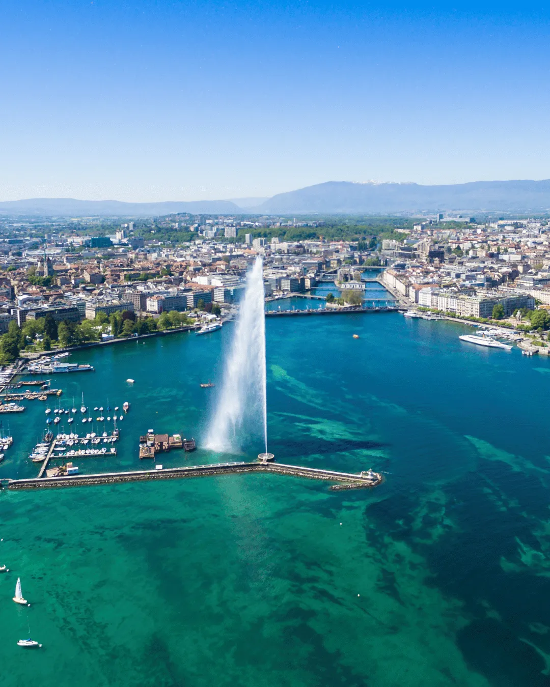 geneve international