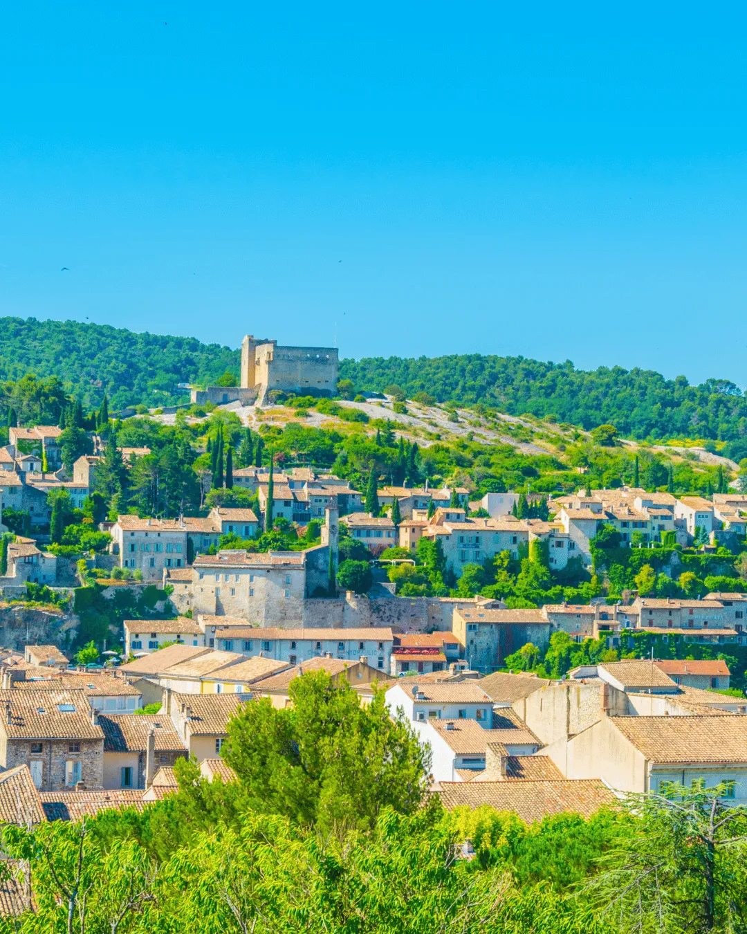 Vaison La Romaine