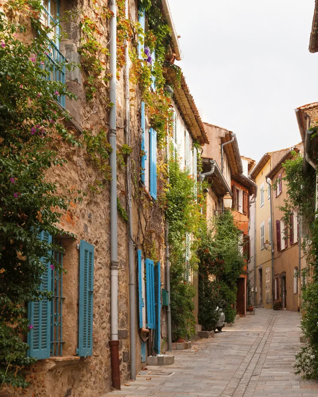 Grimaud