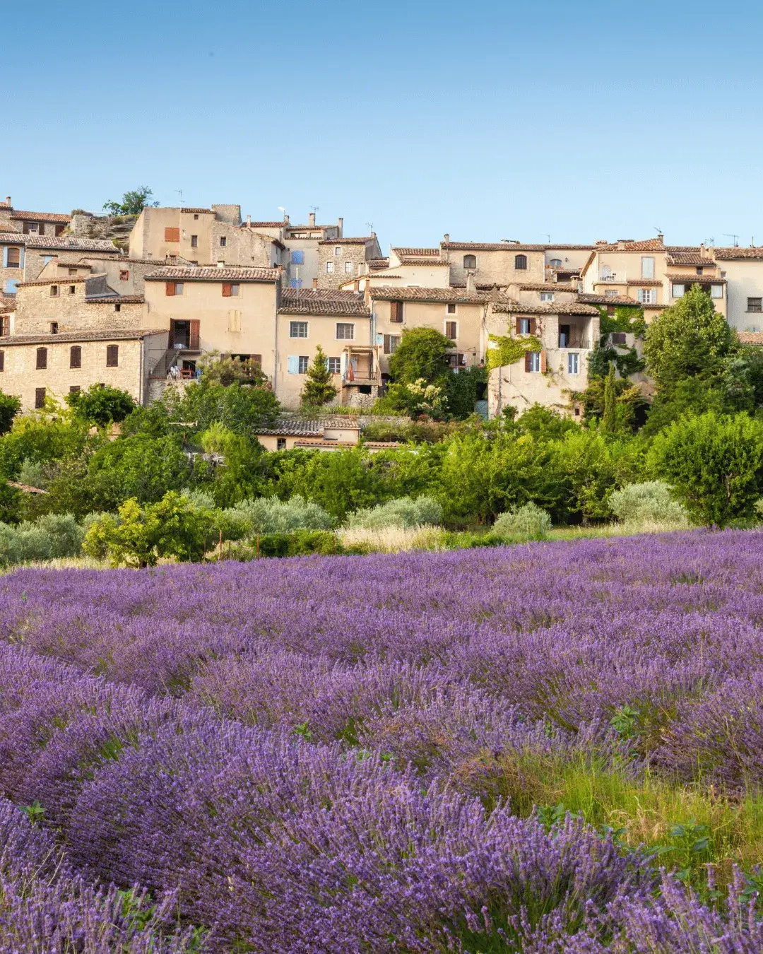 saignon