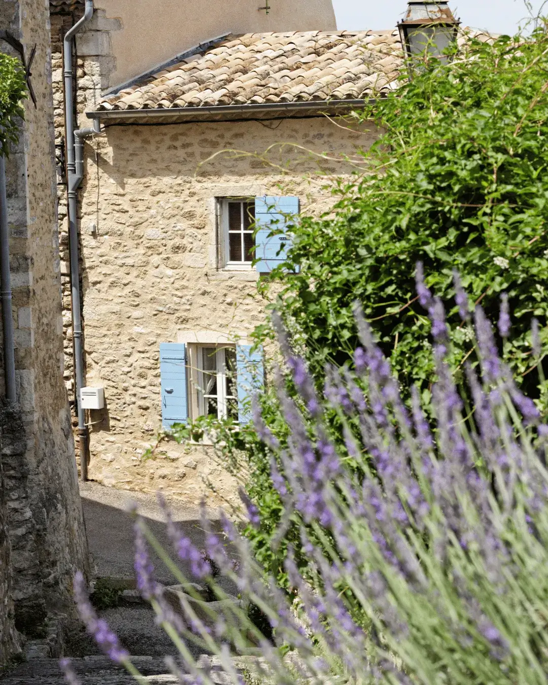 Maussane les alpilles