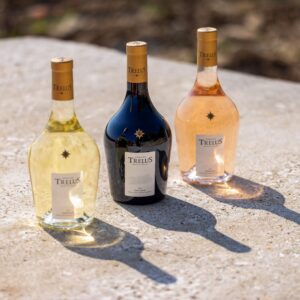 vins provence